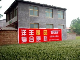 来安如何让墙体广告展现最大化效果